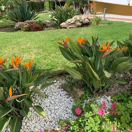 Appartement Vue Exceptionnelle, El Rosario Marbella